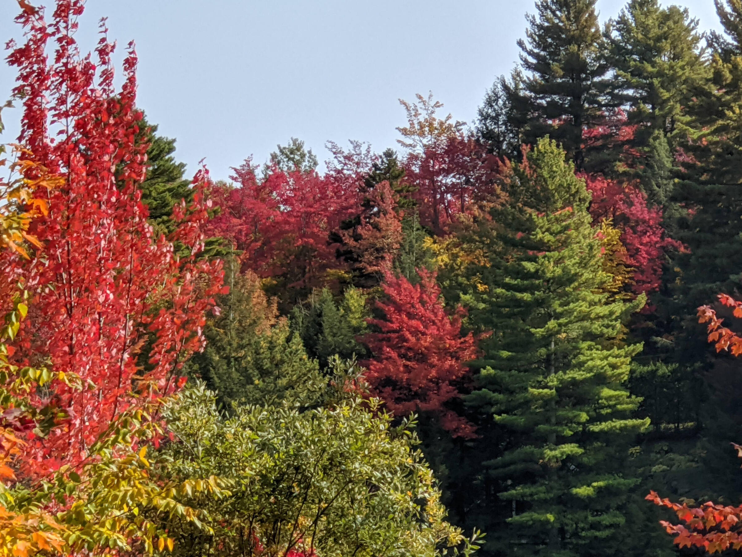 Fall in Austin Quebec
